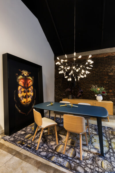 Heracleum Small