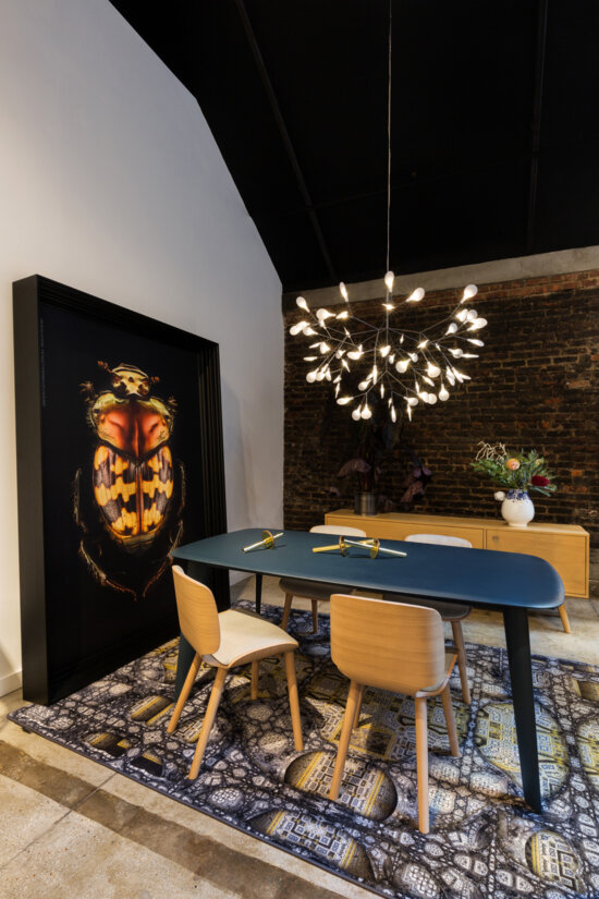 Heracleum Small